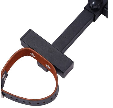 Adjustable Torture Pillory with Dildo